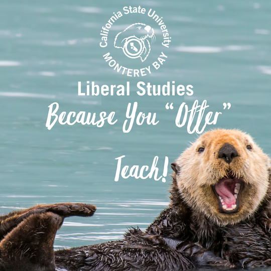 Otter Teach LOGO