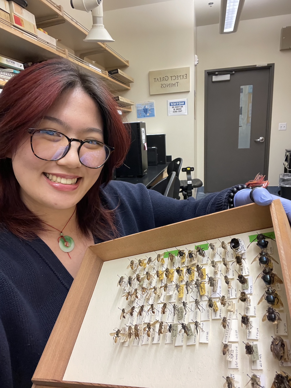 Shulammite smiling and holding a specimen box, containing various rows of various insects