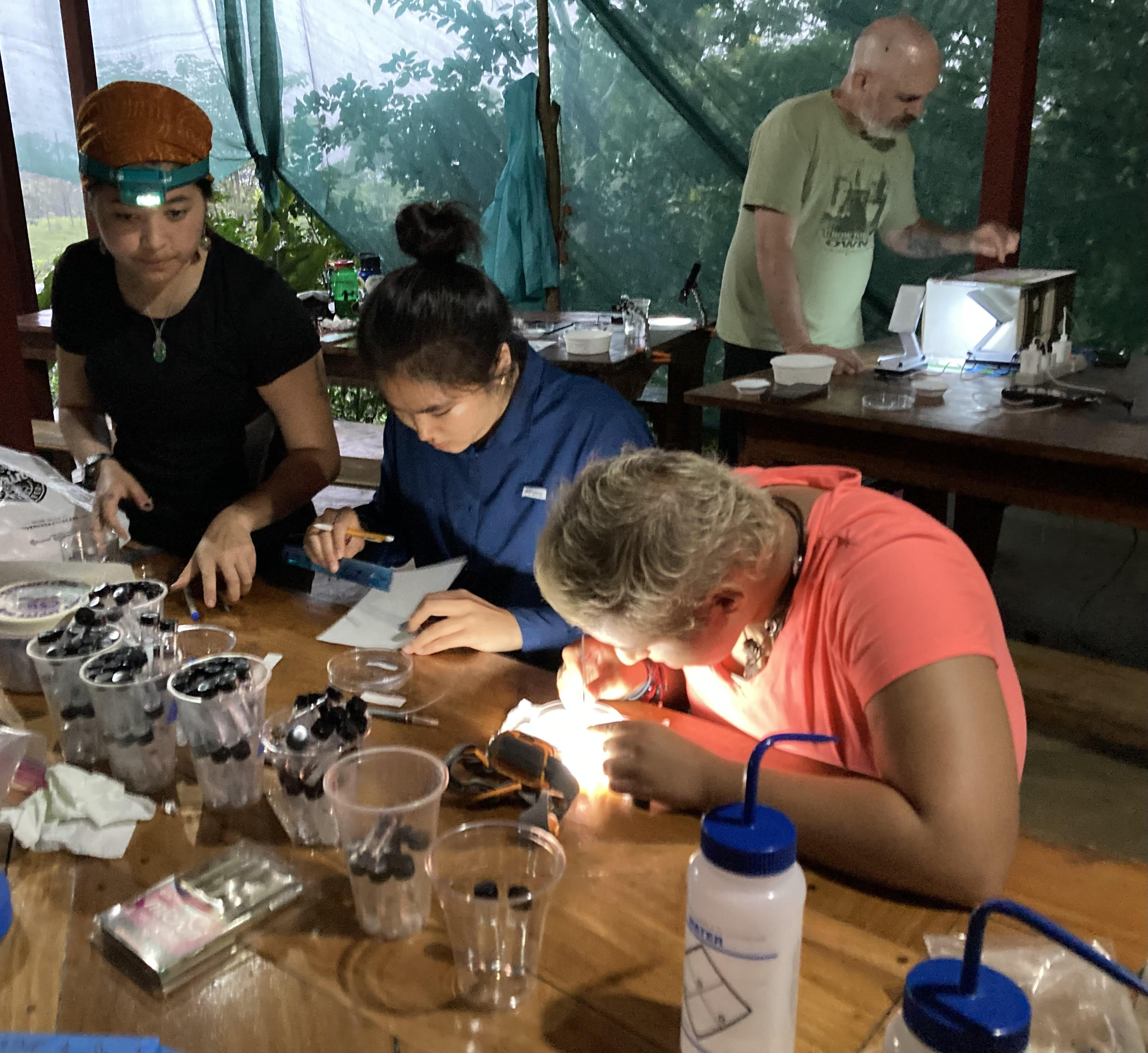 Students conducting lab work in Costa Rica