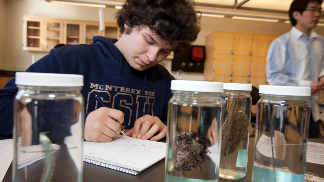 A student writing information about marine life