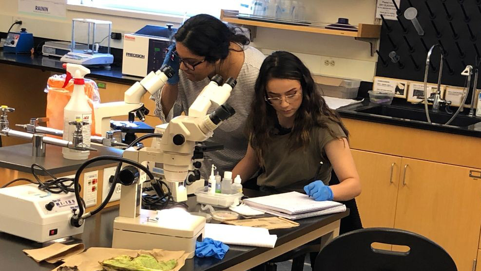 Two students doing research in a science lab