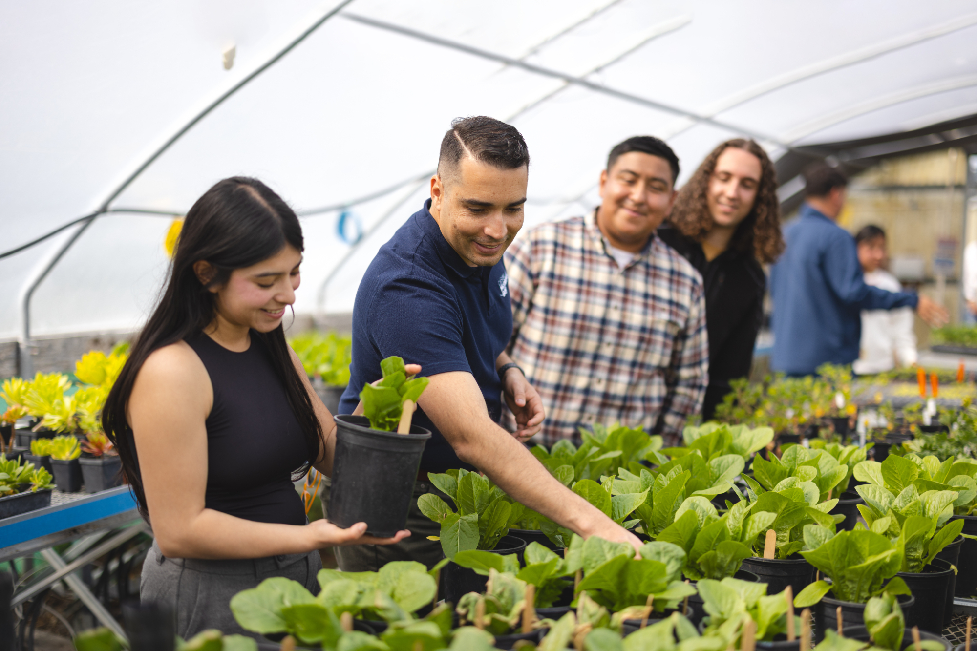 Three students and a professor working with plants in a greenhouse.