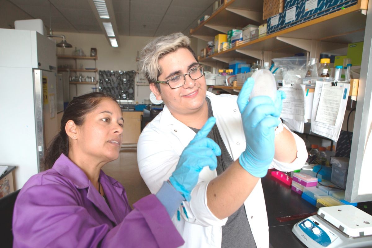 Professor Sreenivasan working in the lab with a student.