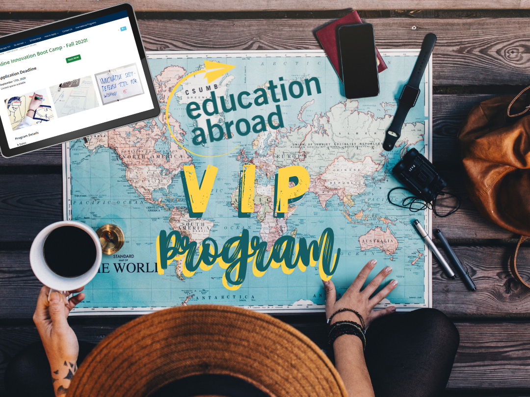 VIP programs