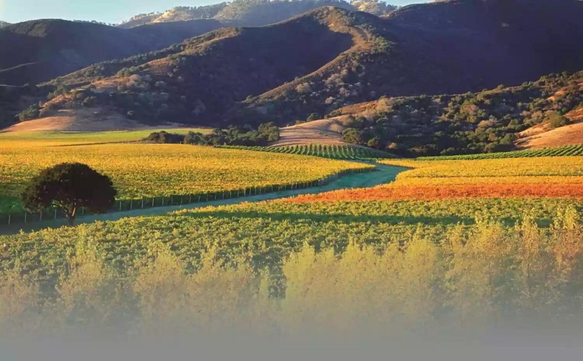 Carmel Valley