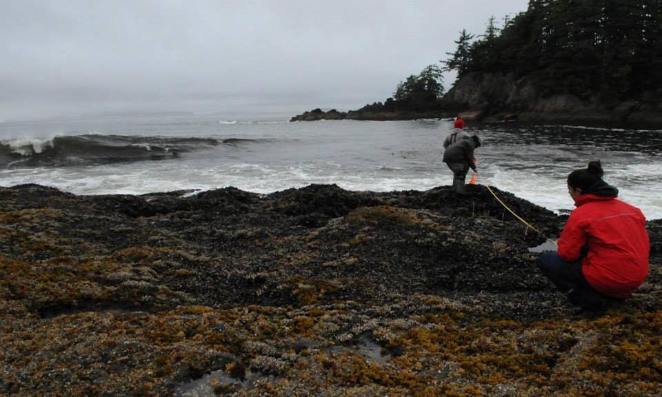 Two students on coastal rocks