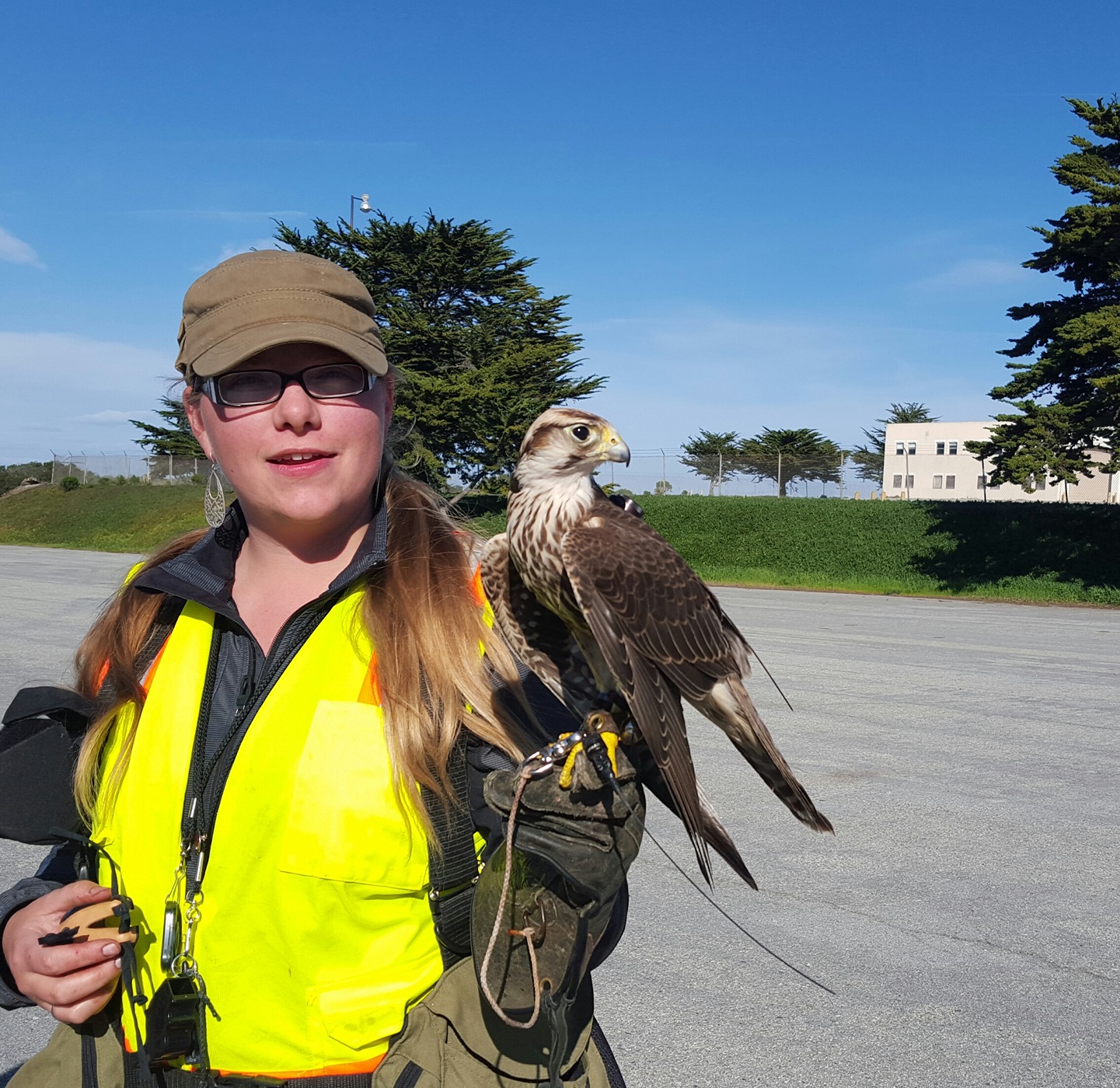 st-block-11-1459874717144-raw-201602191448051