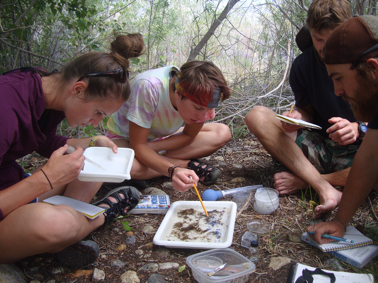 st-block-56-1493411931330-raw-dsc04447