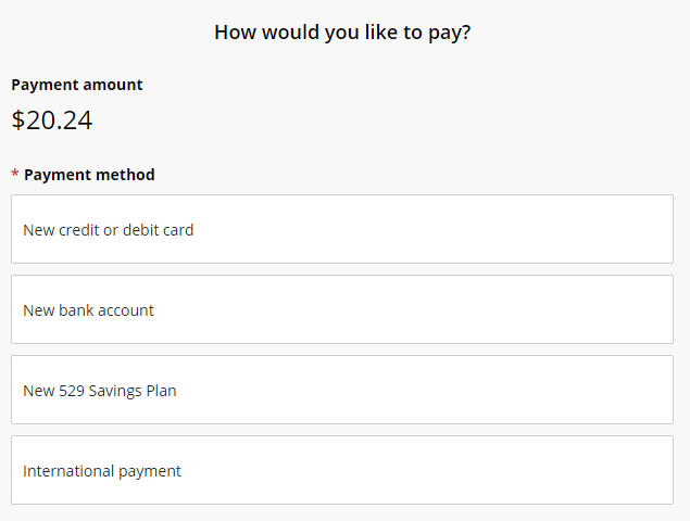 Payment type items at checkout