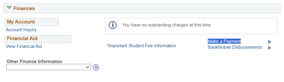 Where to find Make A Payment on OASIS