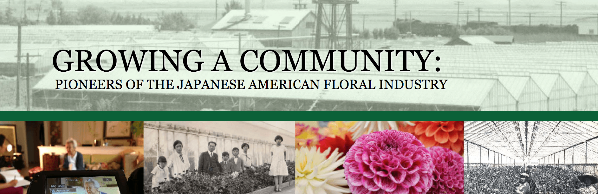 JFG image Growing a Community Pioneers of the Japanese-American Floral Industry