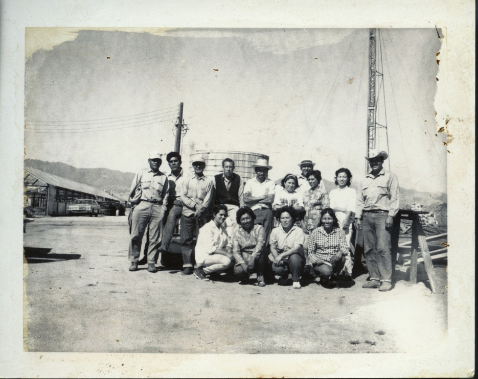 Fusako Yonemitsu (bottom row) and Tomi Matsuno (top row) with employees .