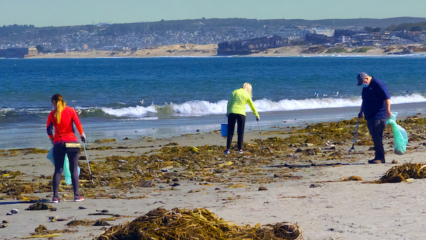 People picking up trash on the beach.