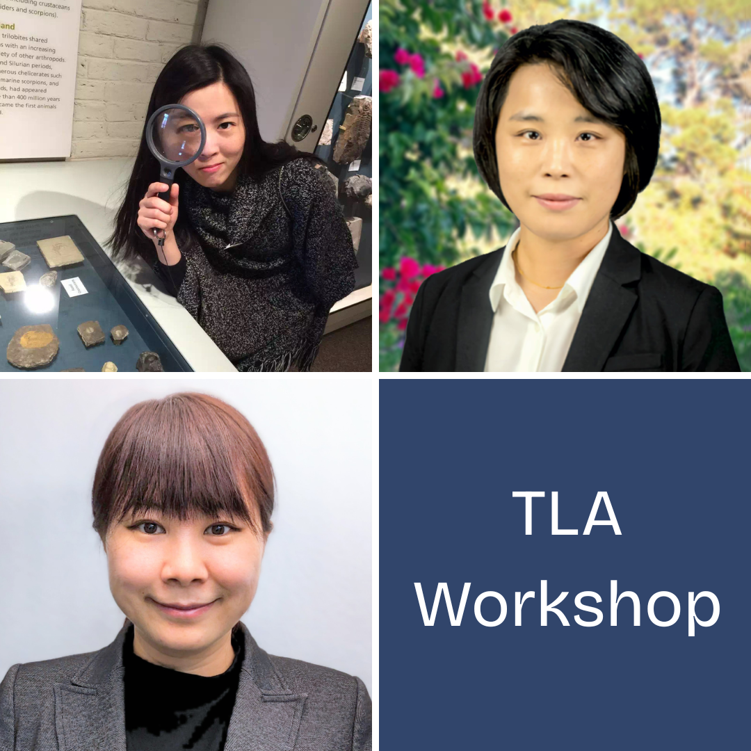 TLA Workshop