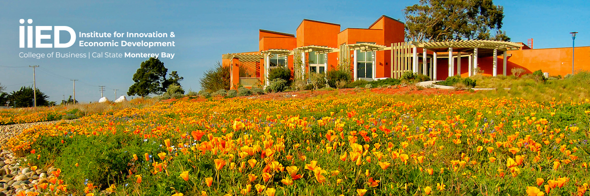 Women in Venture Capital Photo Graphic