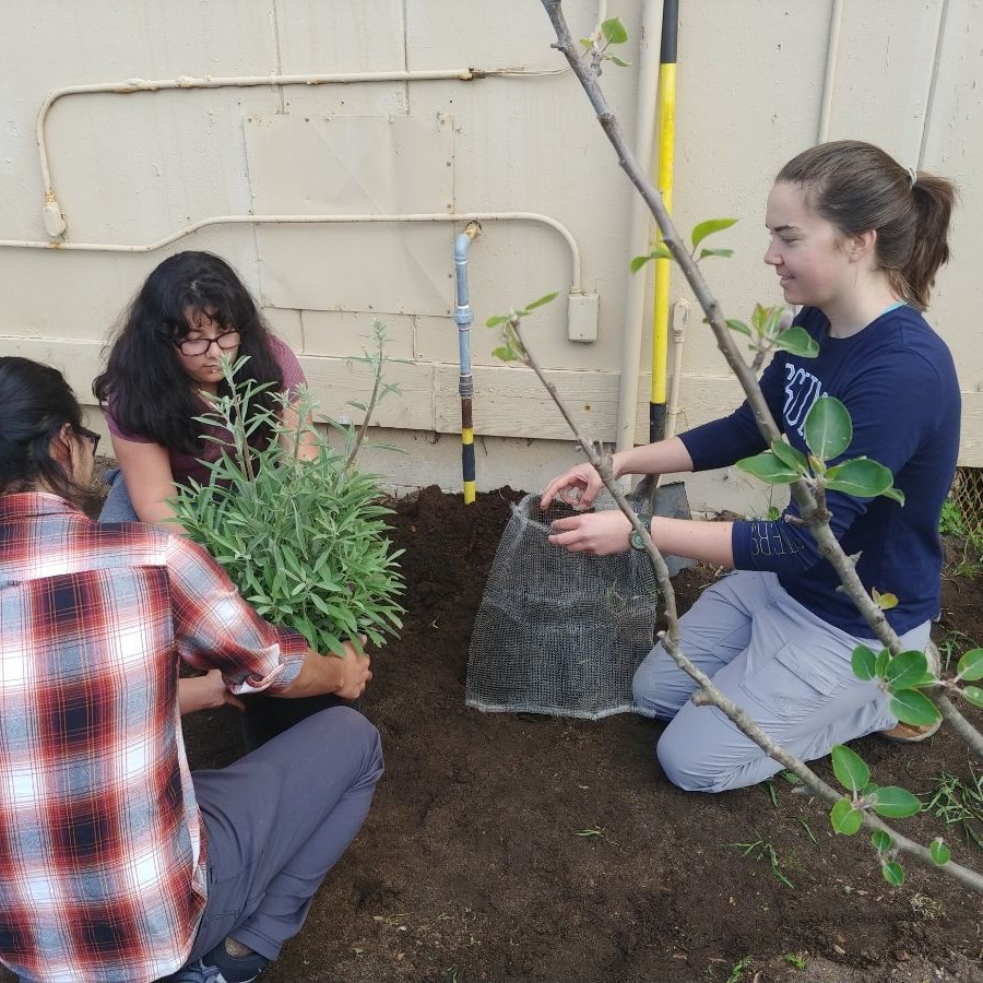 ENSTU students in garden