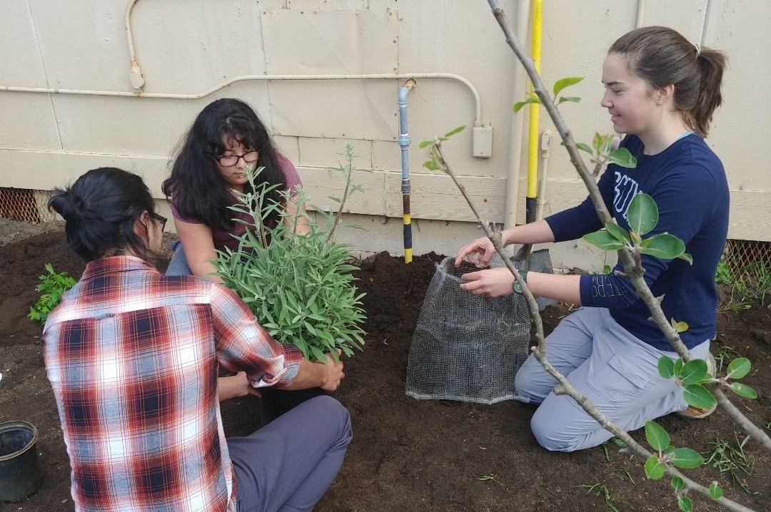 Dr. Victoria Derr's environmental studies students