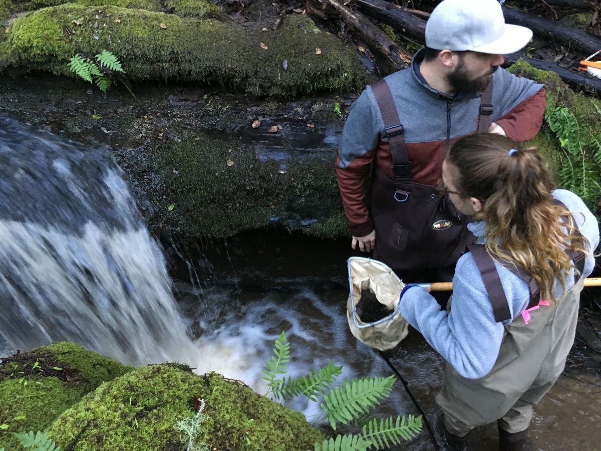 I3b2L1xHQziixpAd7KLh_rFMH6L4QQO6YMDQaAdQ0_fmhHDCrTsSehH77bB32M_IMG_4530