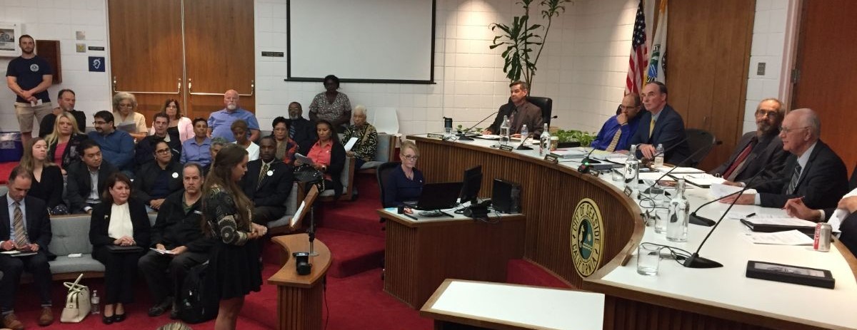 Environmental studies student presents to city council