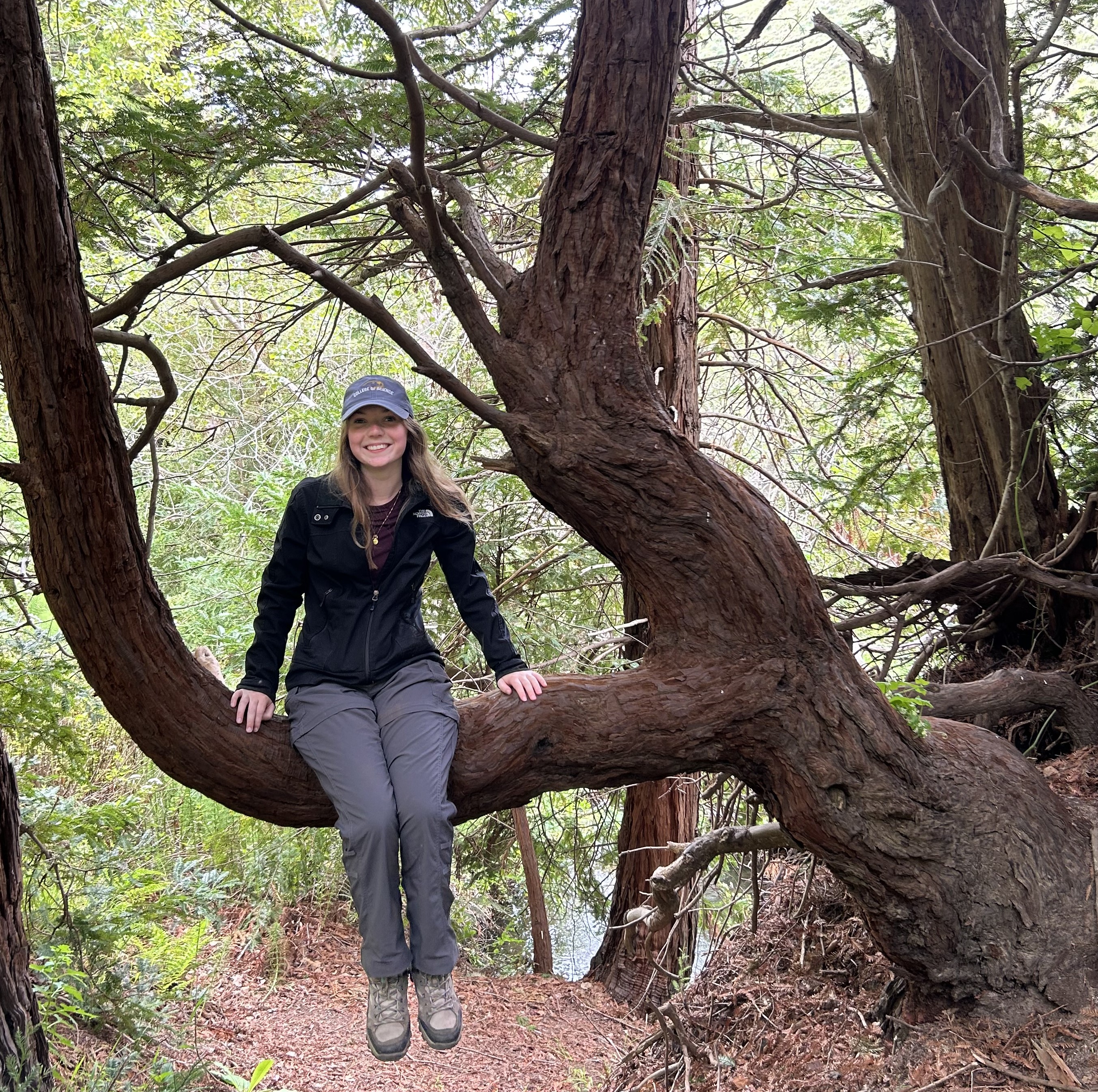 Person sitting on a large tree branch in a wooded area, surrounded by greenery.