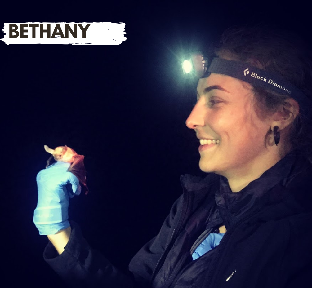 Person smiling, wearing a headlamp, and holding a small bat with gloved hand in a dark setting.