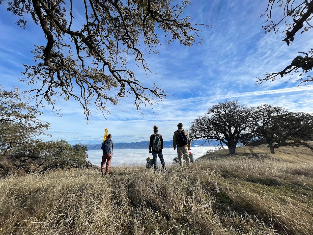 Three graduate students looking out at the horizon from the hill
