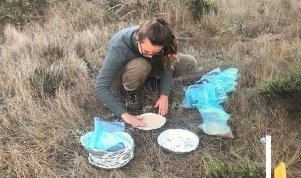 wildlife ecology lab