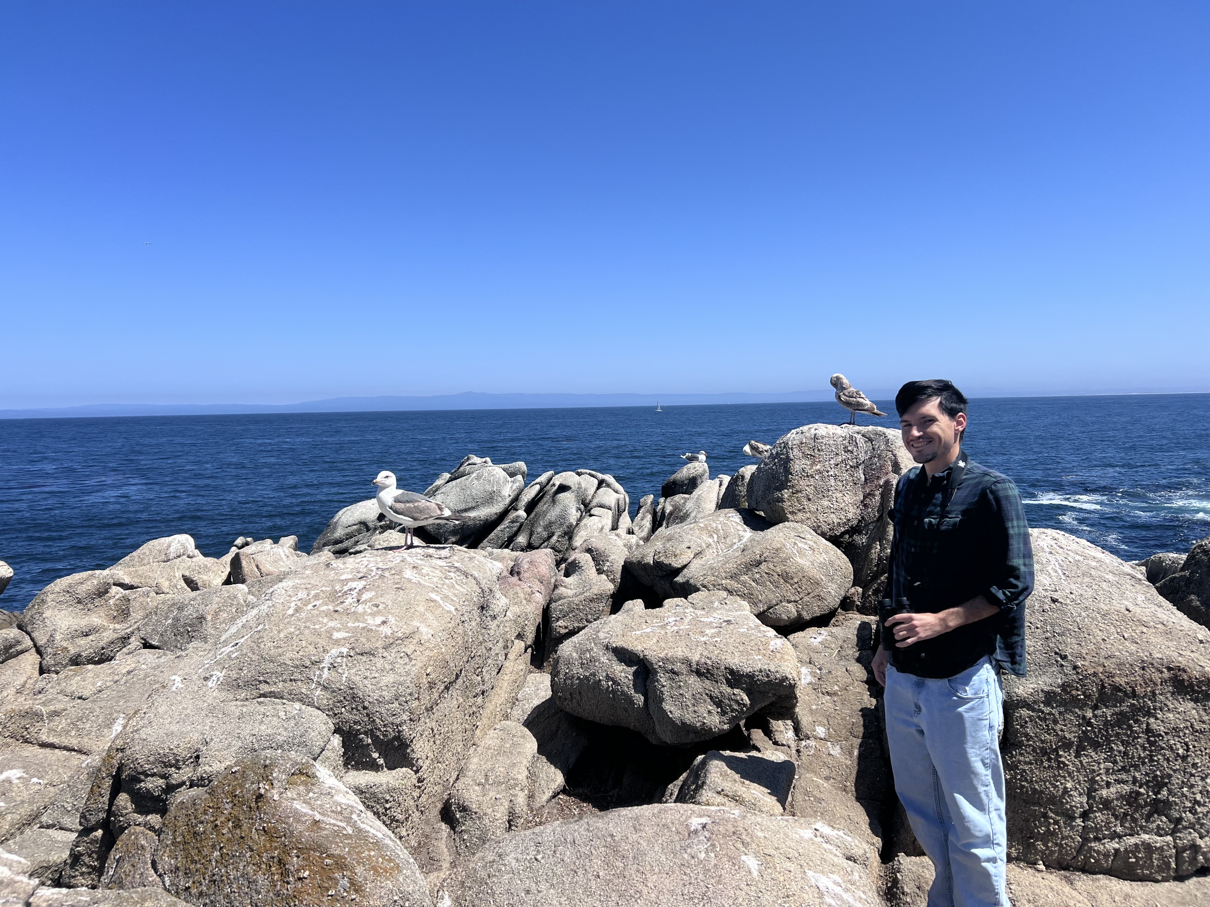 Person standing on rocky shore with ocean and seagulls in the background.