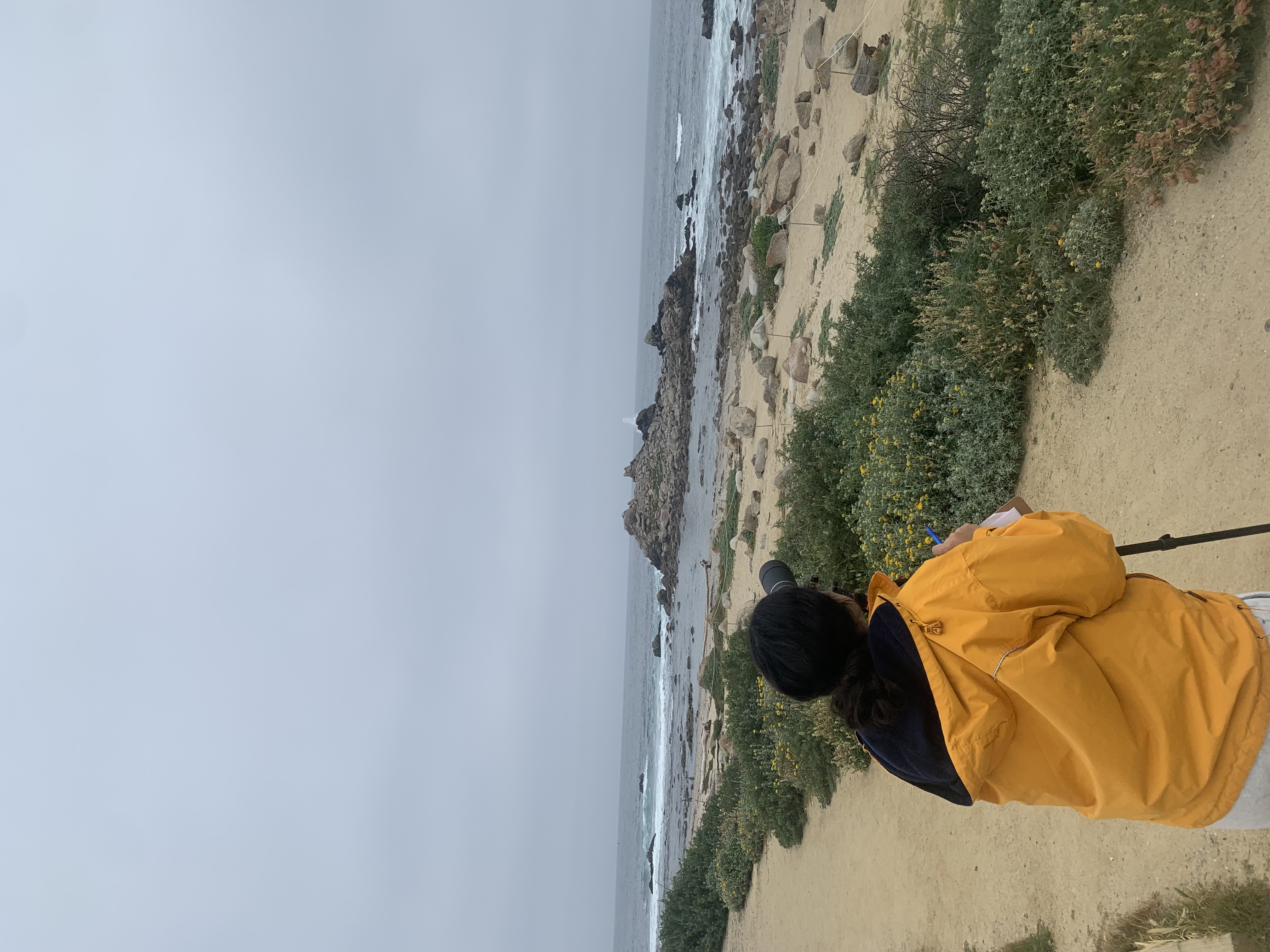 A person in a yellow jacket stands on a sandy path near a rocky shore, looking towards the ocean on an overcast day.