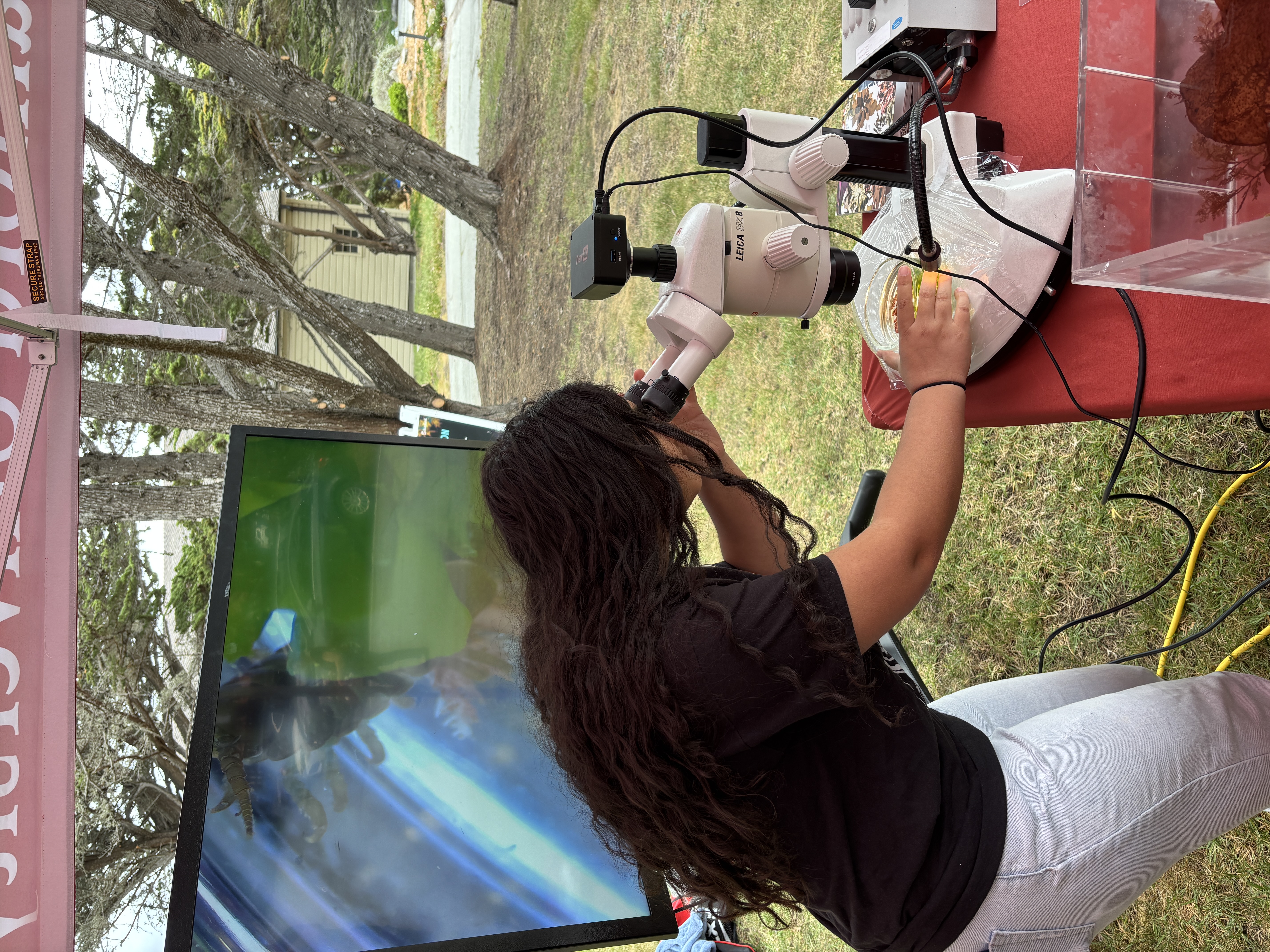 Deirdre looking into a microscope.