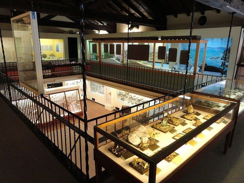 Display cases lit up inside a museum