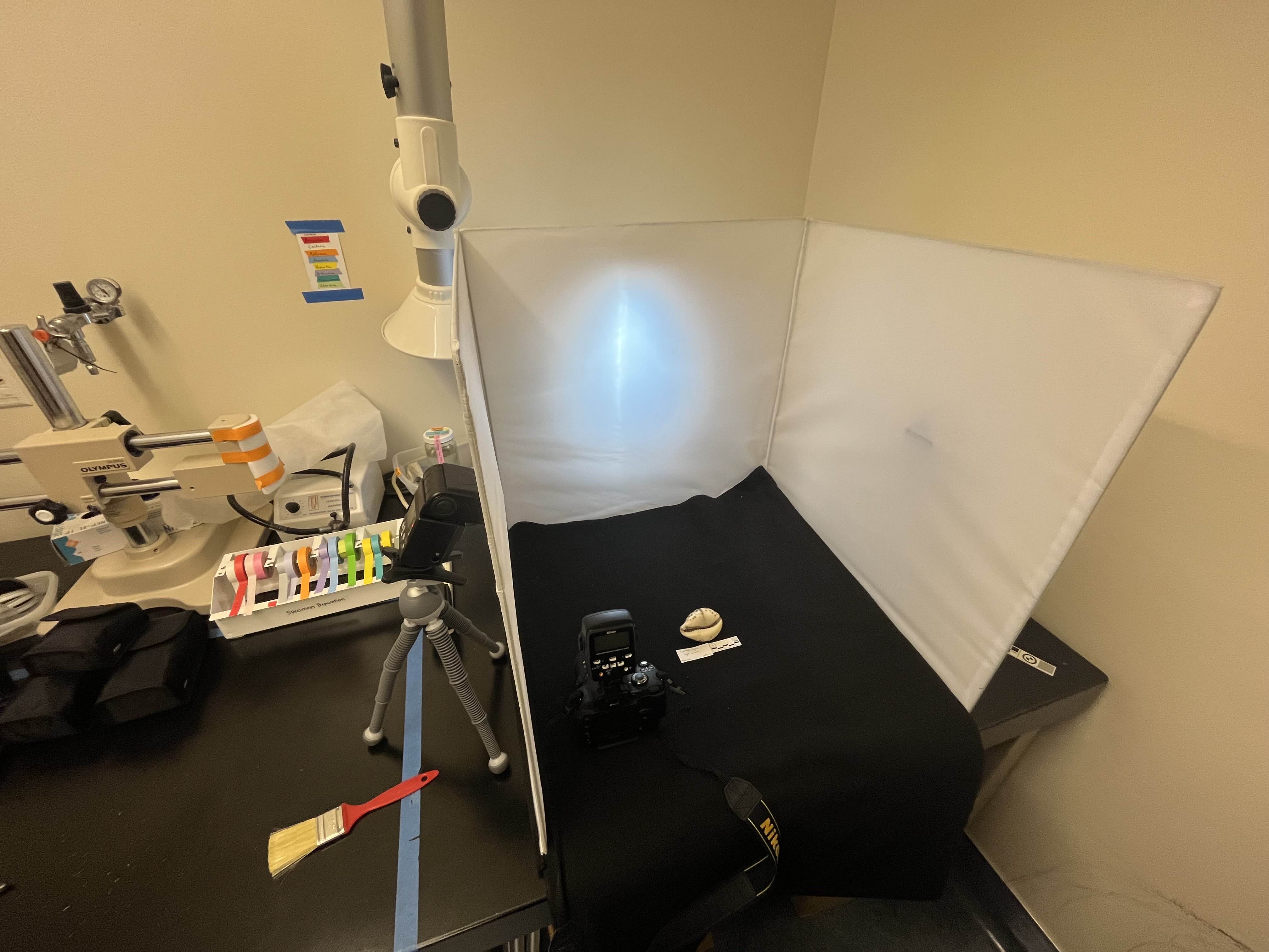 Laboratory setup with a microscope, camera on a tripod, colorful tape, and a lightbox.