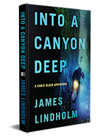 into a canyon deep novel