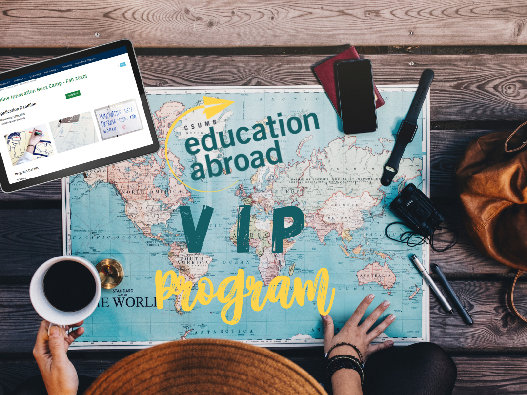 Virtual International Passport Program