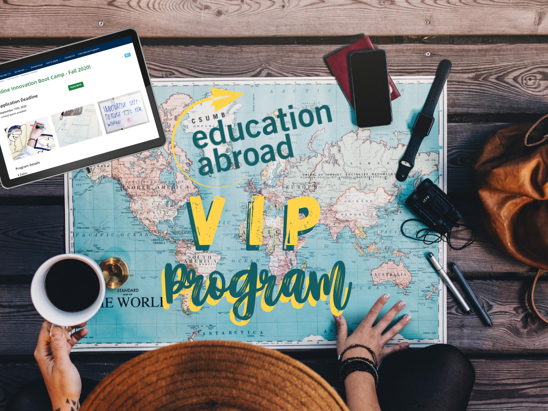 Virtual International Passport Program