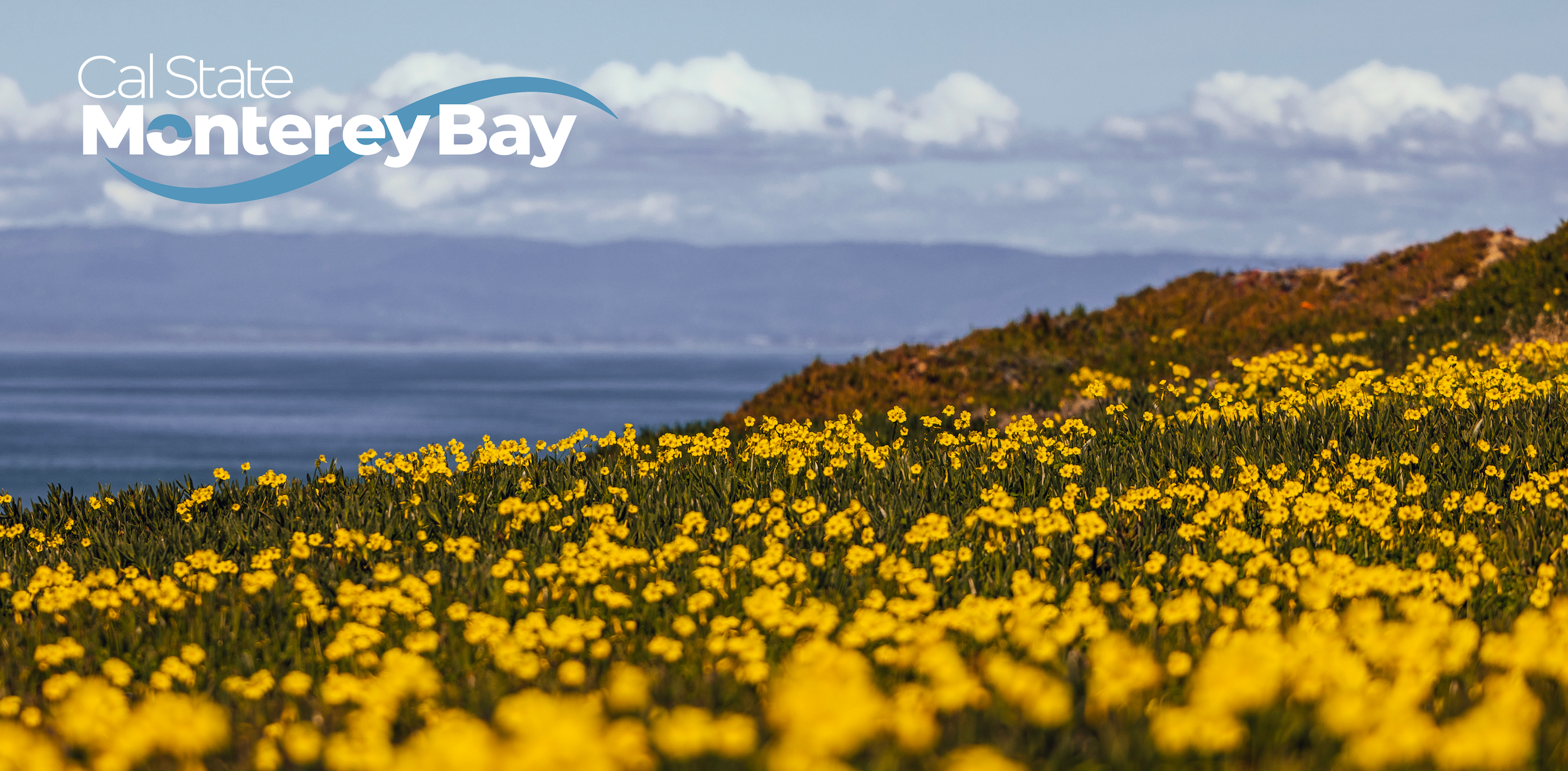 CSUMB logo, coastal landscape flowers