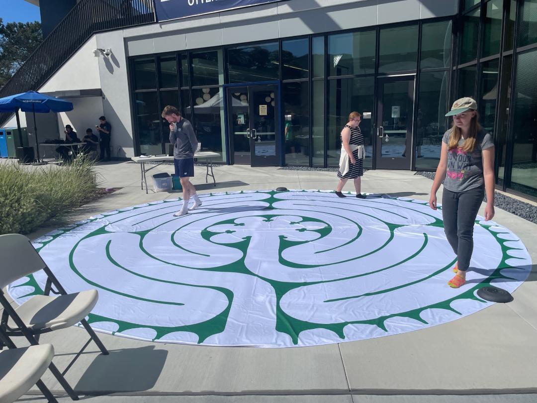 A photo of students in walking meditation.