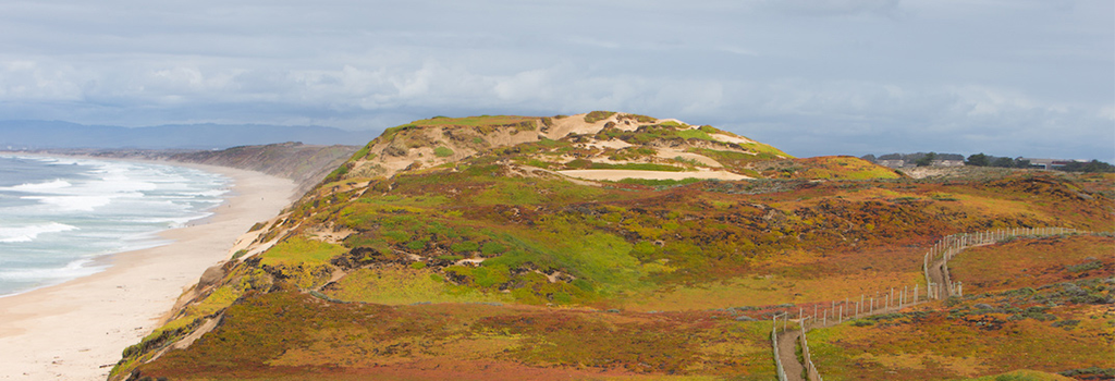 beach and dunes, photograph