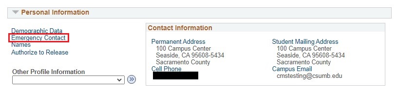 Screenshot of the Personal Information section With emergency contact outlined