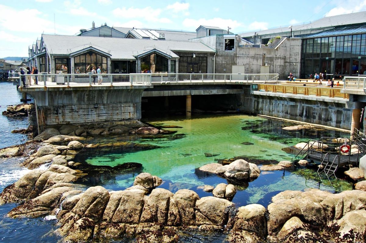 Monterey Bay Aquarium
