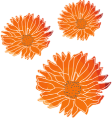 pedals of the living community challenge