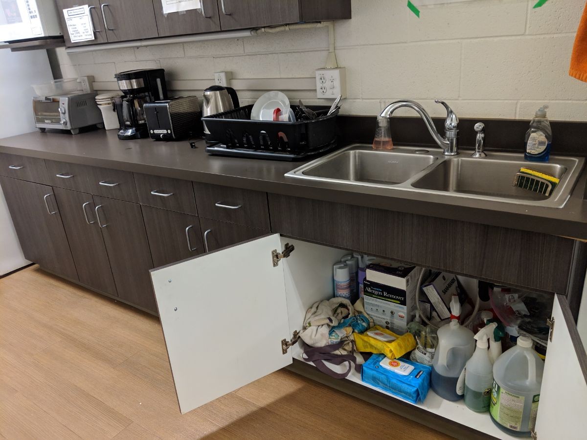 Cleaning supplies under a kitchen sink and the whole kitchen