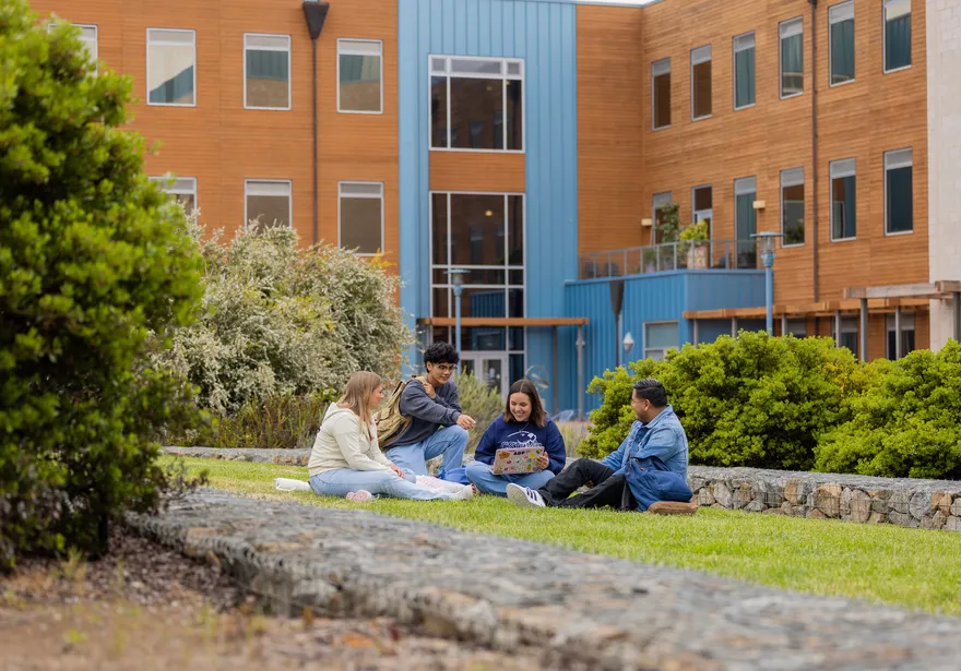 Four students sitting on the grass