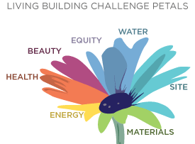 Visual of the seven petals.