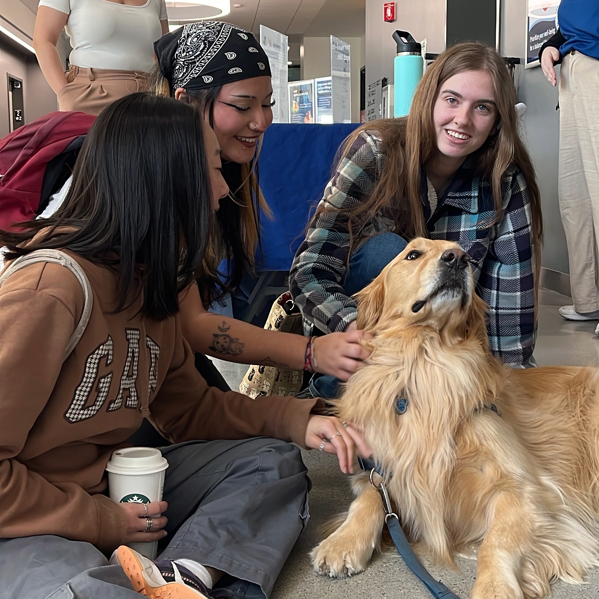 Three students sitting on floor and petting Blue, the therapy dog