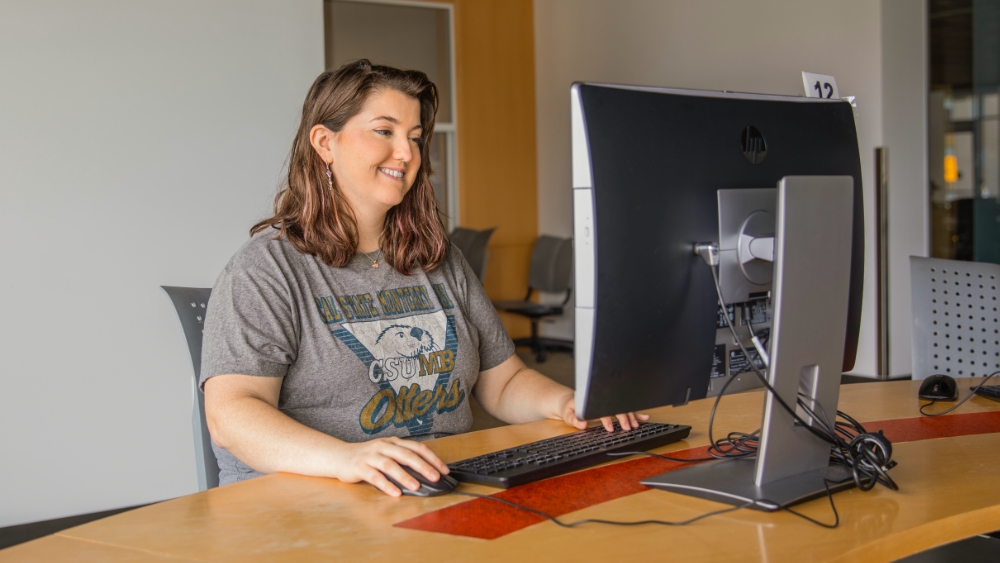 A student sitting at a computer