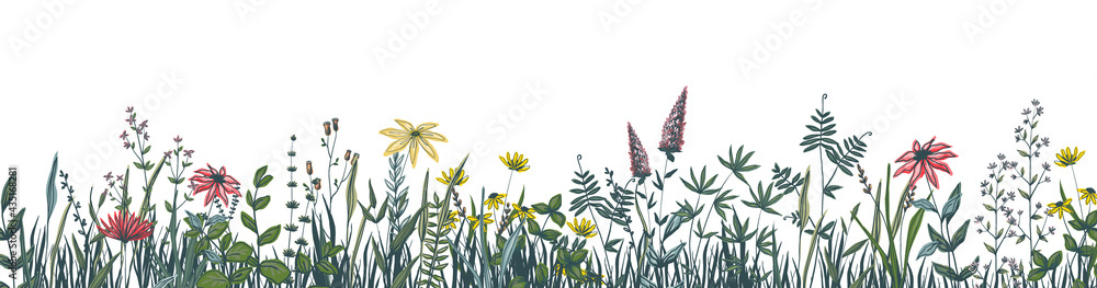 White background with a row of assorted flowers in a banner format