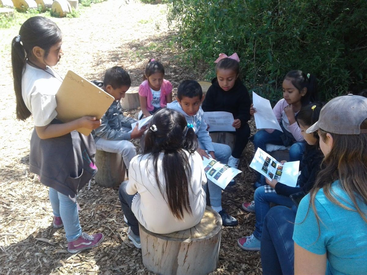 Environmental Education 