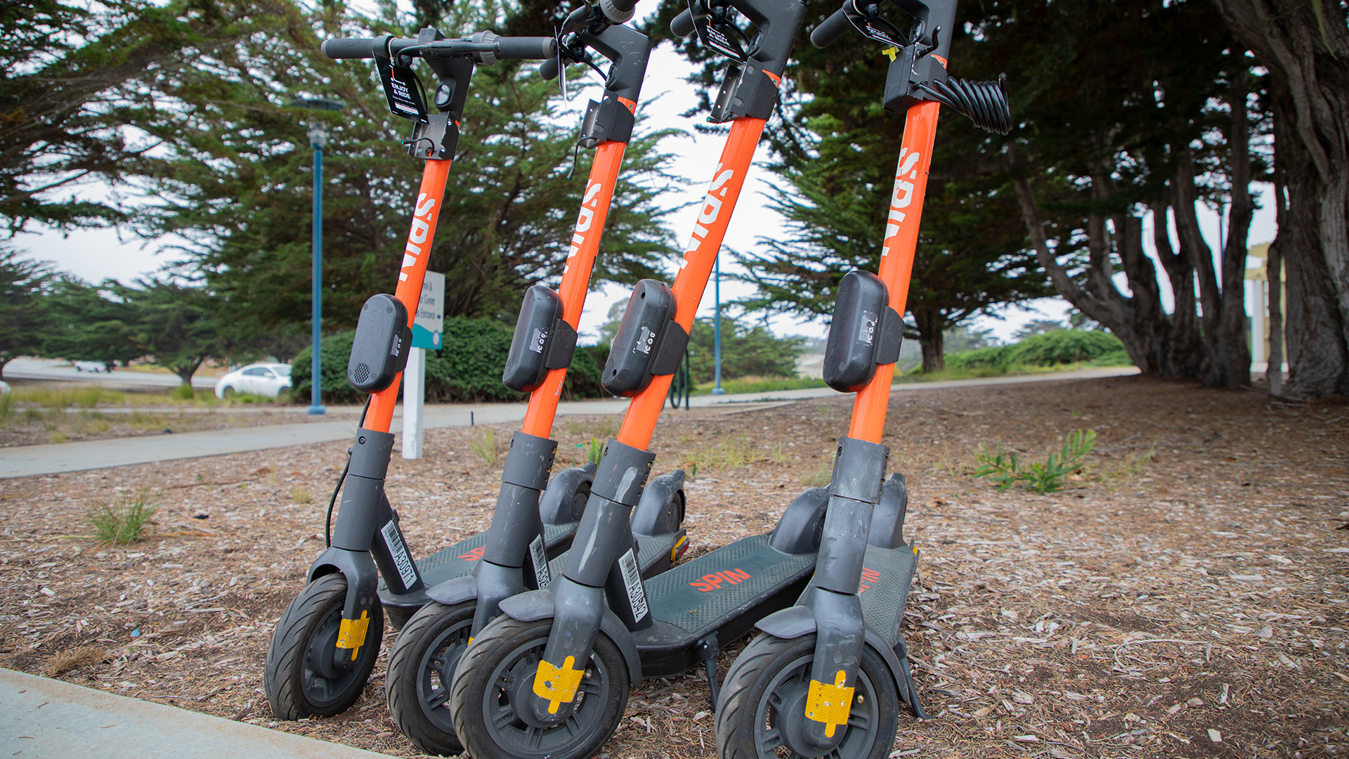 Spin scooters stand ready for riders outside the Alumni and Visitors Center on campus.