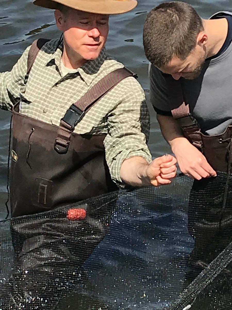 John Olson and CSUMB student collecting water sample.